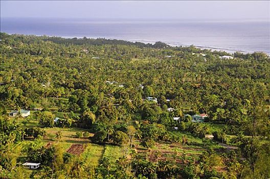 俯视,海滨城镇,拉罗汤加岛,库克群岛