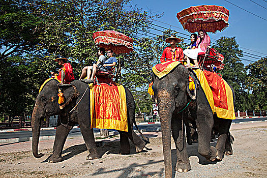 泰国,大城府,历史,公园,游客,骑,大象
