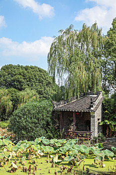 上海韩湘水博园
