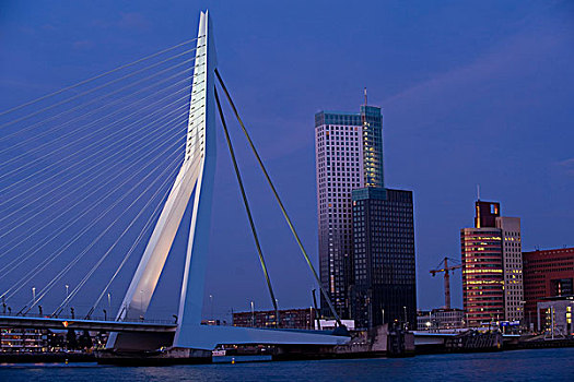 伊拉斯谟斯桥,鹿特丹,荷兰南部,荷兰,欧洲