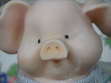 肖像,塑料制品,猪