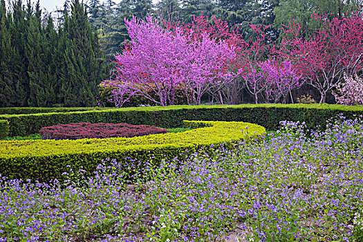 春暖花开