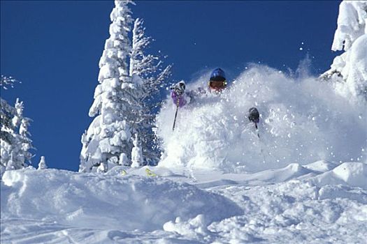 爱达荷,冬天,下坡,滑雪者,滑雪,雪,树,天空,白色,蓝色