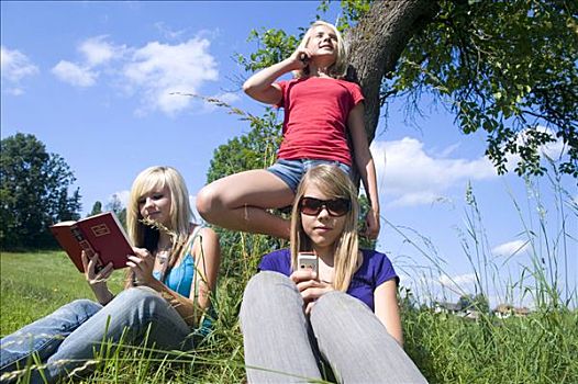 三个,女青年,手机,书本