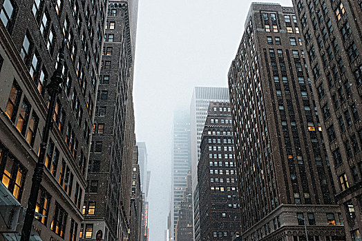 城市,冬天,纽约,美国