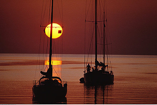 帆船,日落,自由岛,巴哈马