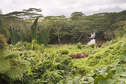 考艾岛,印度教,寺院,夏威夷,美国