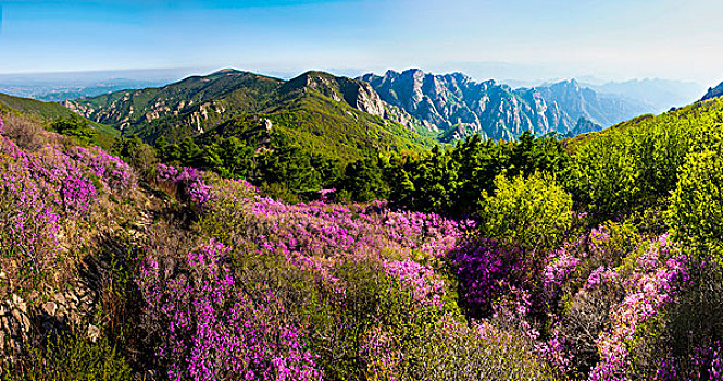 祖山风光美景