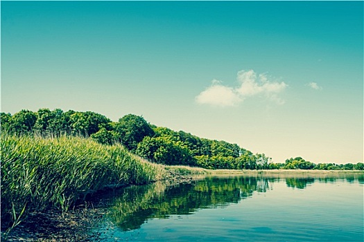 湖,风景,绿色,树