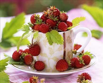 草莓,杯子