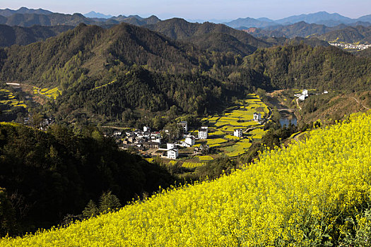 石潭村,安徽,古村落,住宅,建筑,历史,文化,居民,痕迹,村庄,老街