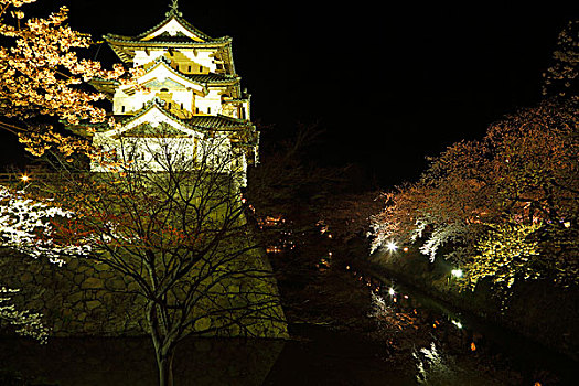 广岛,城堡,樱桃树,夜晚