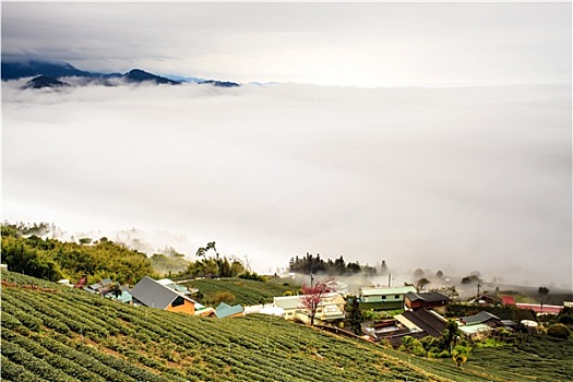 日落,山,风景