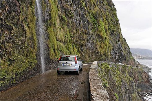 老,海岸,道路,本地人,汽车,洗,街道,马德拉岛,葡萄牙