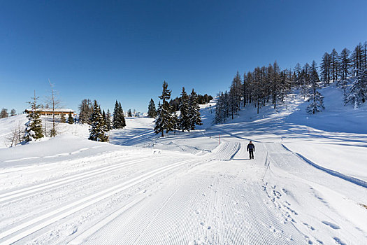 小屋,高海拔,滑雪轨迹,冬天,小路,积雪,冬季风景,滑雪,区域,萨尔茨堡,陆地,奥地利