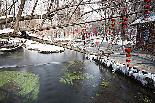 公园雪景