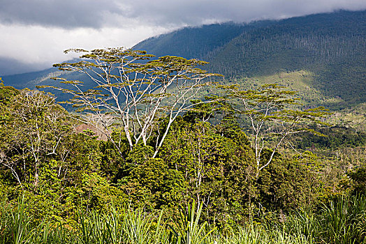 风景,乡村,巴布亚新几内亚