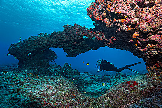 潜水,珊瑚礁,大门,突破,太平洋,法属玻利尼西亚,大洋洲