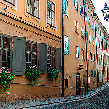 窗台花箱,窗户,建筑,格姆拉斯坦,斯德哥尔摩,瑞典