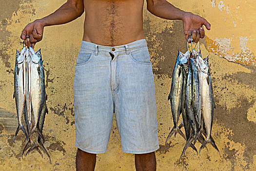 古巴,特立尼达,鱼,摊贩,街道