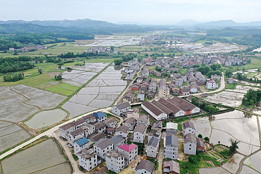 江西金溪,水田如镜景如画