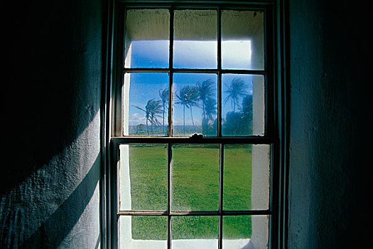 特写,窗,毛伊岛,夏威夷,美国