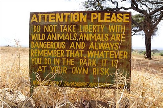标识,警告,野生动物,公园,坦桑尼亚,非洲