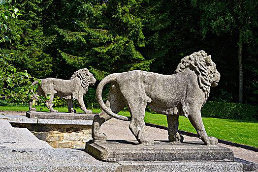 狮子,雕塑,特写,穿过,哈尔茨山,德国