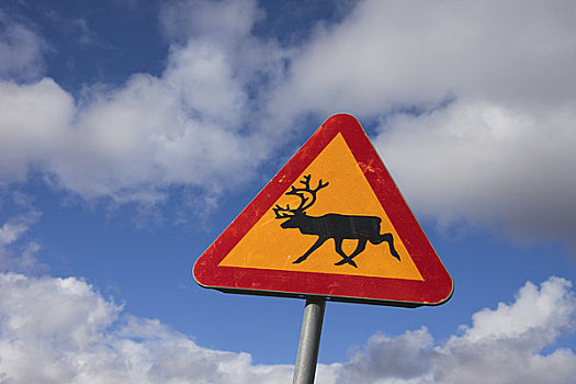 警告标识,驯鹿,瑞典