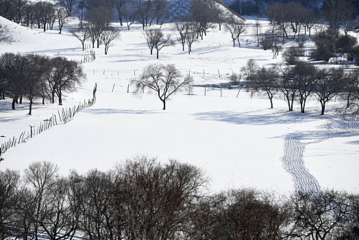 雪景