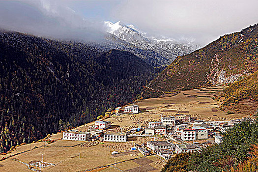 藏族民居
