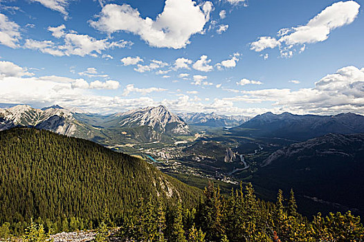 风景,树林,加拿大,落基山脉,艾伯塔省
