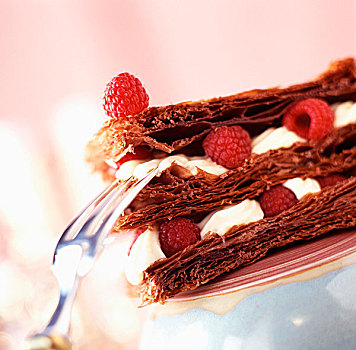 巧克力,树莓,酥饼,甜点