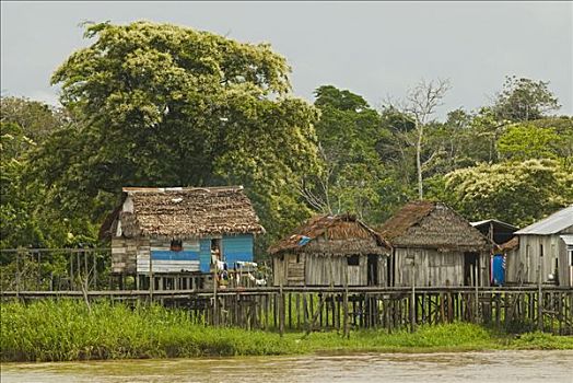 秘鲁,亚马逊河,传统,茅草屋顶,小屋,建造,岸边
