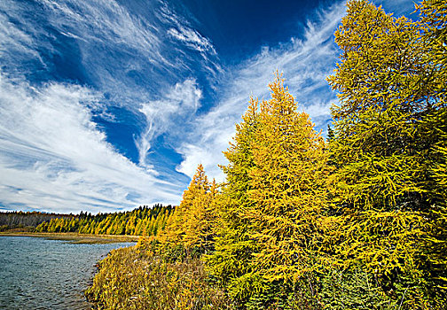 秋色,树,山,省立公园,曼尼托巴,加拿大