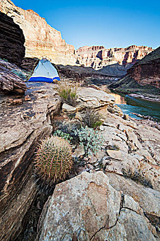 露营,科罗拉多河,大峡谷国家公园,亚利桑那,美国