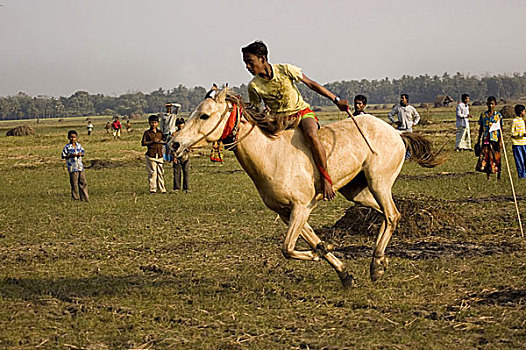 骑师,比赛,终点线,赛马,传统,运动项目,拿,泥,道路,田野,右边,收获,孟加拉,一月,2008年