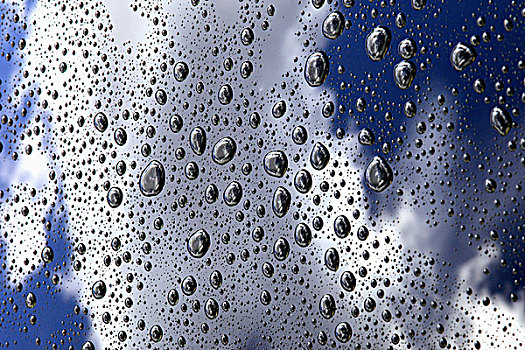 雨,水滴,屋顶,汽车,艾伯塔省,加拿大