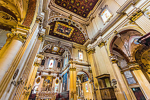 室内,大教堂,圣母玛利亚,普利亚区,意大利