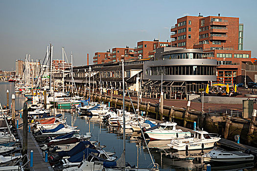 港口,码头,海牙,荷兰,欧洲