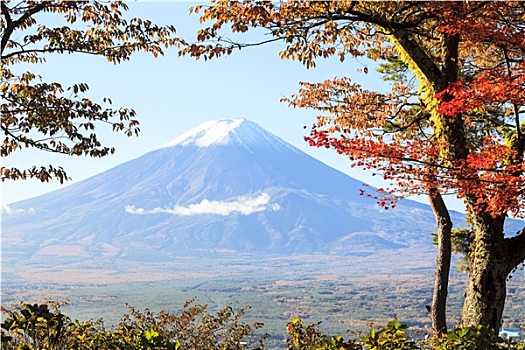 山,富士山,秋色,日本