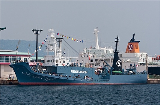 日本,捕鲸,船,港口