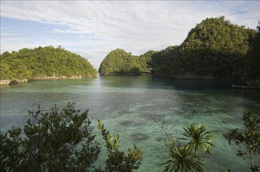 大,岛屿,棉兰老岛,菲律宾