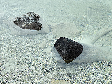 碎片,坐,浅,水池