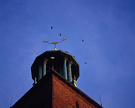 鸟,悬空,高处,建筑,屋顶,蔽护,仰视