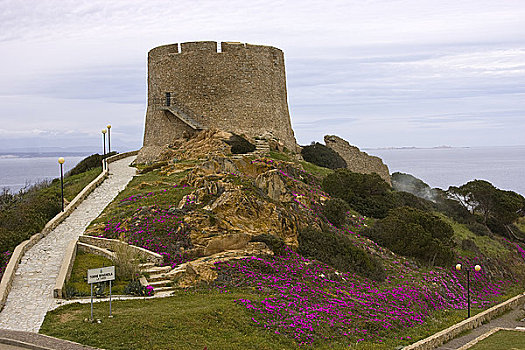 塔,海岸