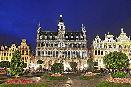 夜景,著名,大广场,布鲁塞尔,比利时,联合国教科文组织,世界遗产