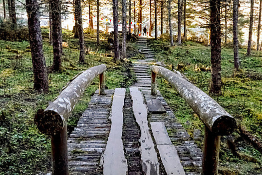 山林之中不朽的木桥