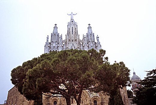 提维达波,大教堂,巴塞罗那,西班牙