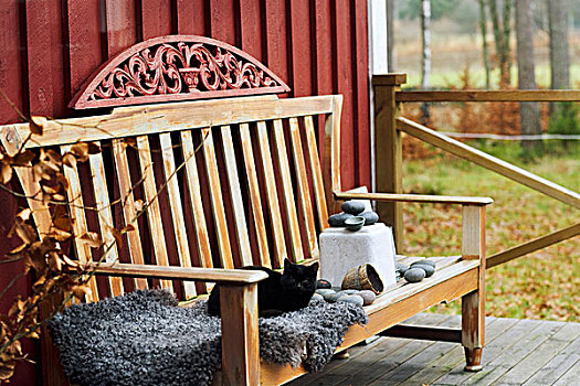 舒适,平台,猫,绒毛状,毯子,木制长椅,正面,红色,木质,建筑